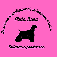Logo PLUTO BEAU