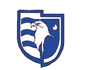 Logo MIONS FOOTBALL CLUB