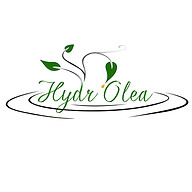 Logo MADAME VERONIQUE BRIDE