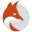 Logo FOXYZ