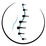Logo MADAME ALEXANDRA BRUNETTI