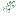 Logo SAS DES RACINES AUX BRANCHES