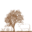 Logo MONSIEUR BENOIT ZUINGHEDAU
