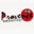 Logo PROVENCE SECURITY SYSTEM