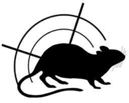 Logo HALTOBETES