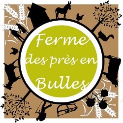 Logo MONSIEUR DEIL TOUSSAINT