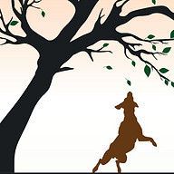 Logo PENSION AU POIL