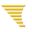 Logo APPN INTERNATIONAL