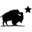 Logo IGWT