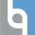 Logo BORTEQ