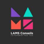 Logo LAMS CONSEILS