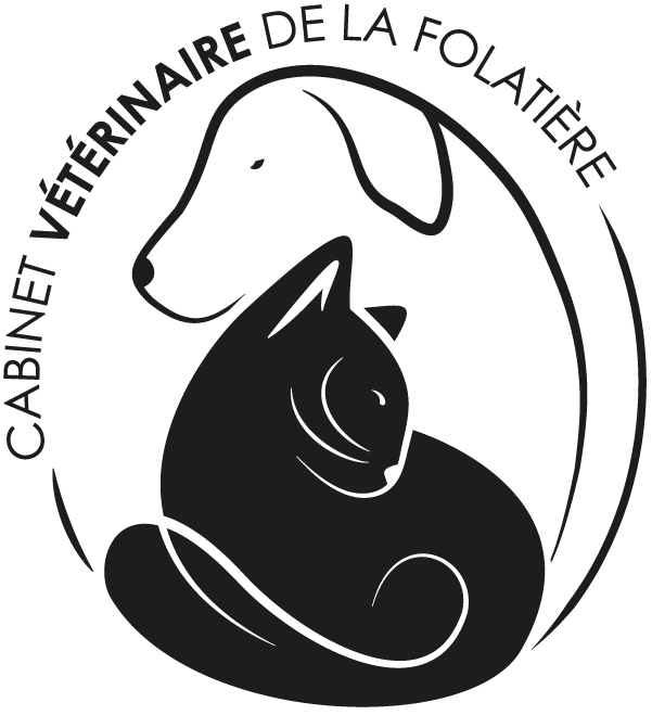 Logo CARTHEORE