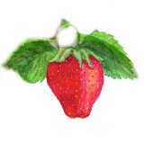 Logo AUBERGE DU FRAIZIER