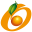 Logo FAST CONCEPTS