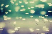 Logo MADAME ELISE PANTALEON