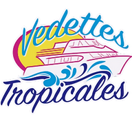 Logo COMPAGNIE MARTINIQUAISE DE NAVIGATION