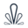 Logo LBS
