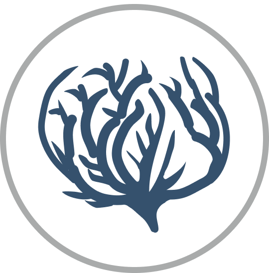 Logo TUMBLEWEED CONSULTING