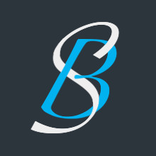 Logo BERTIN SERVICES