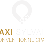 Logo TAXI MIMIAGUE SYLVAIN