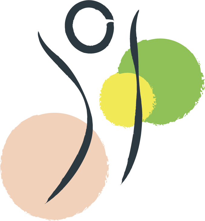 Logo MONSIEUR STEPHANE PLESSIS