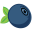 Logo BILBERRY