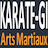 Logo KARATE-GI