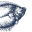 Logo PEIXES