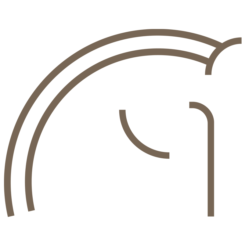 Logo CHEVAL SENIOR