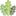 Logo GREEN OAK PUB
