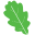 Logo KOAD FOREST