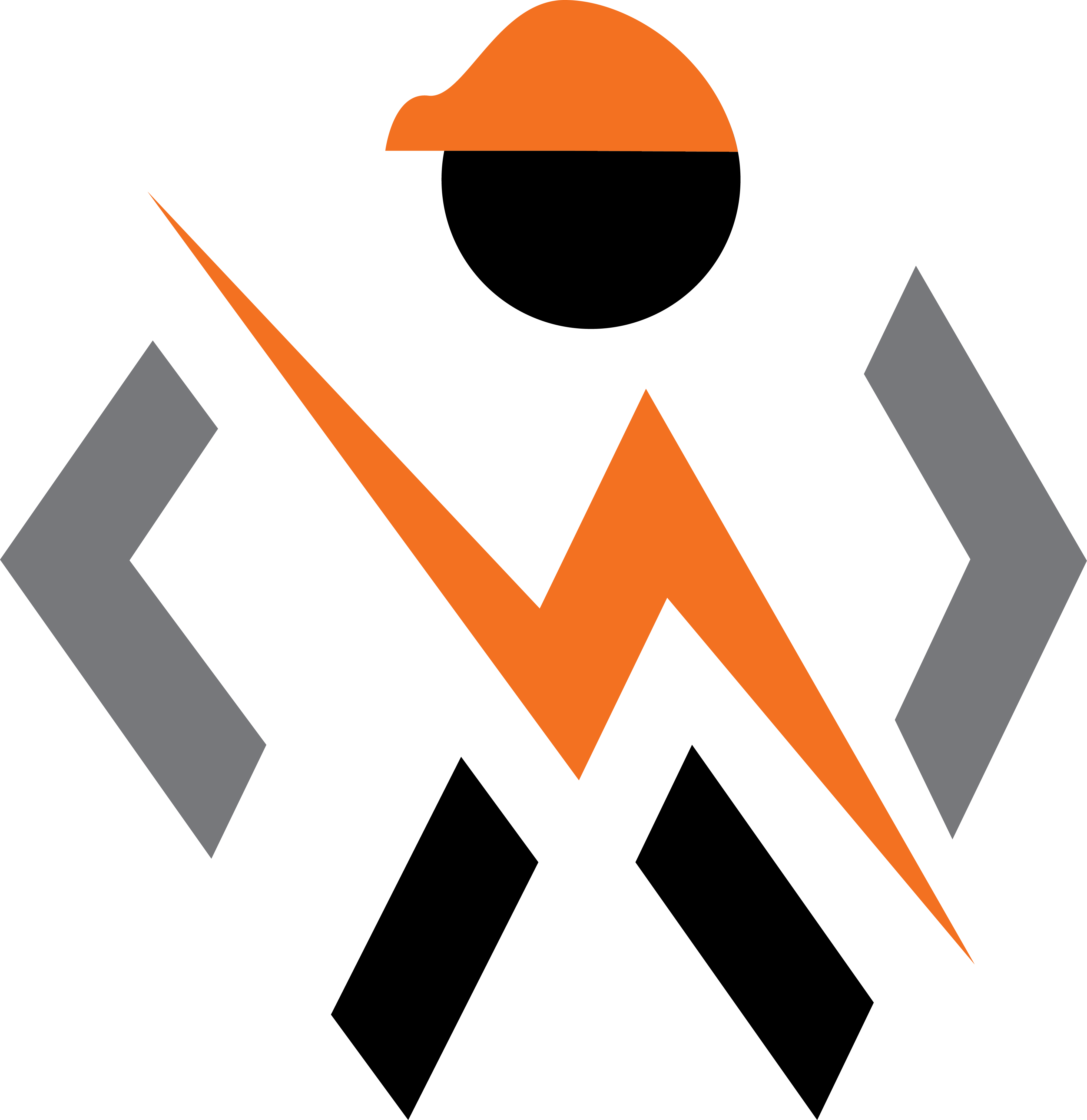 Logo RINGUEDE SYLVAIN