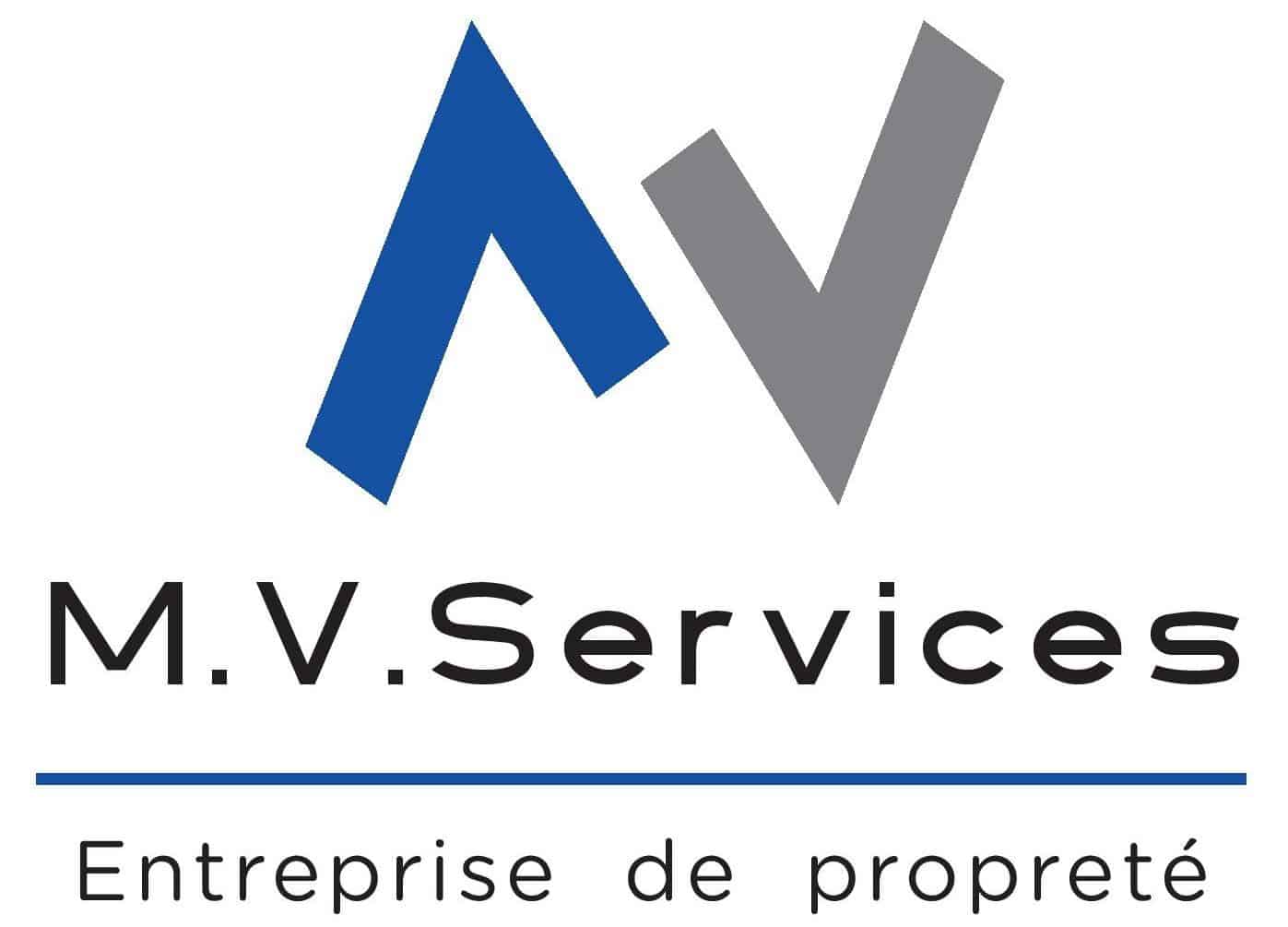 Logo METIER VALEURS SERVICES