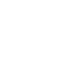 Logo BIOSUMMER DENTAL