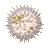 Logo EPSILONS