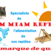 Logo MIAM MIAM REPTILE & CO