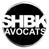 Logo 824 033 211 