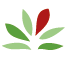 Logo CAMILLE CARLIN