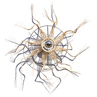 Logo MADAME ALEXANDRA FERDINANDE