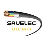 Logo SAVELEC