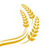Logo GOLD PAIN