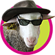 Logo DES BREBIS ET DES HOMMES : AGROPASTORALISME SUR LE CAUSSE MEJEAN