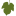 Logo CEBE