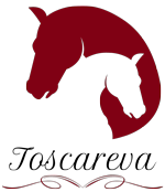 Logo MADAME JUSTINE RIOUST
