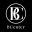 Logo BWIN