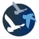 Logo YES ACCOMPAGNEMENT