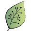 Logo ACCK