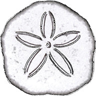 Logo MUSCARI
