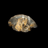 Logo COMPAGNIE INFRA