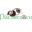 Logo PATURES & CO